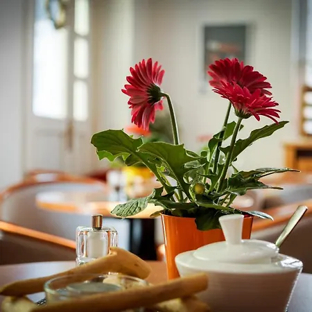 Hotel Ratskeller Schwarzenberg (Saxony)